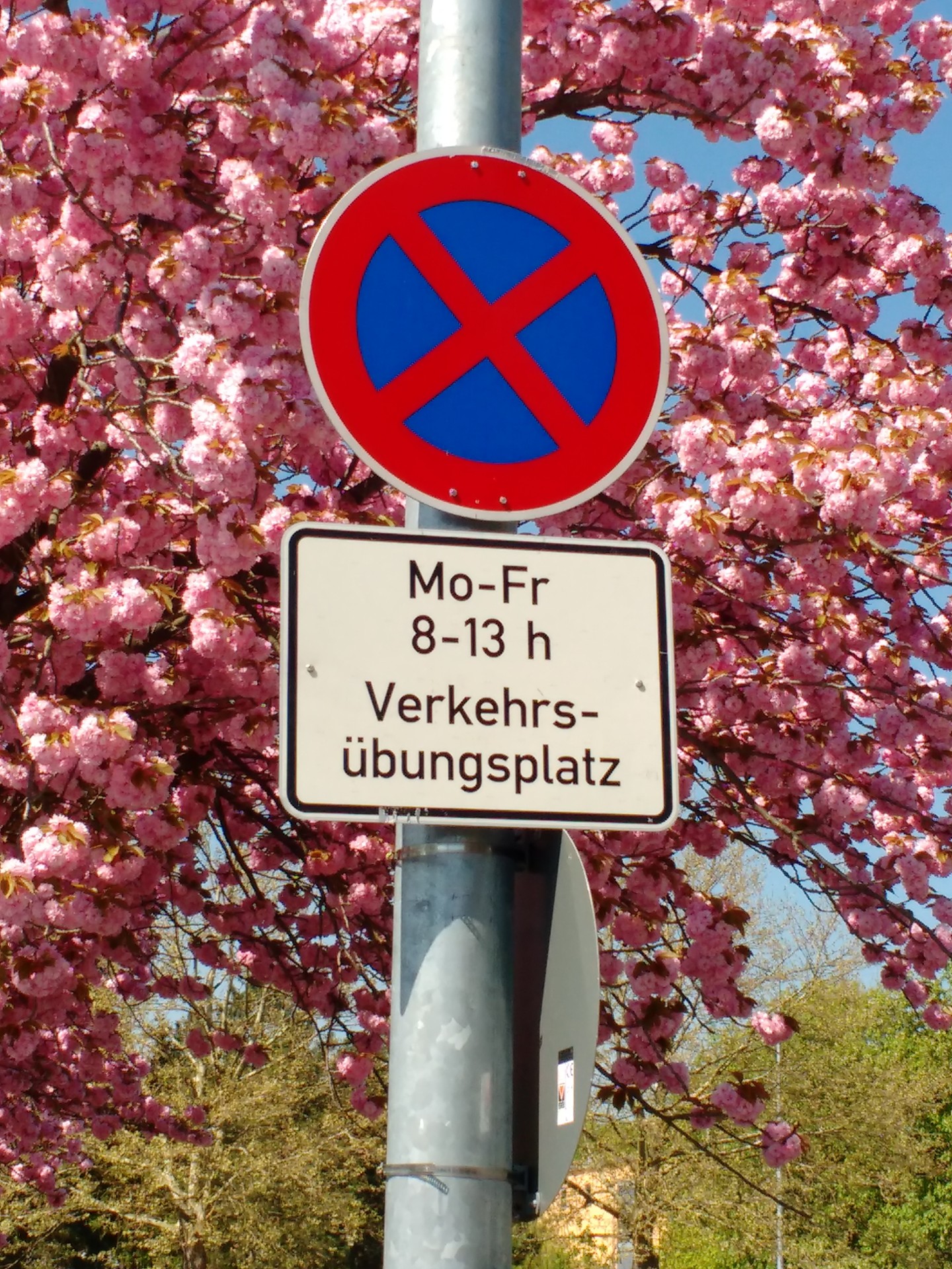 Parken auf dem Verkehrsübungsplatz